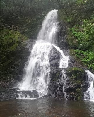 🏞️ 백사 폭포 (아키요시 시라이토노타키) 이미지 2